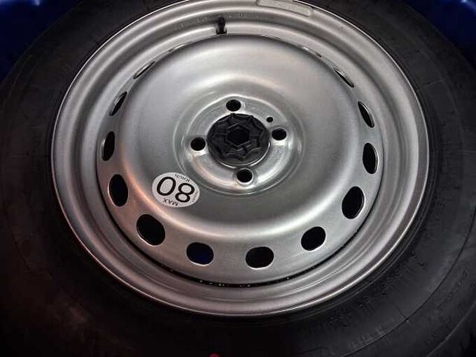 Dacia Sandero Stepway Extreme TCe 110 SHZ/PDC V+H/KAMERA/NAVI