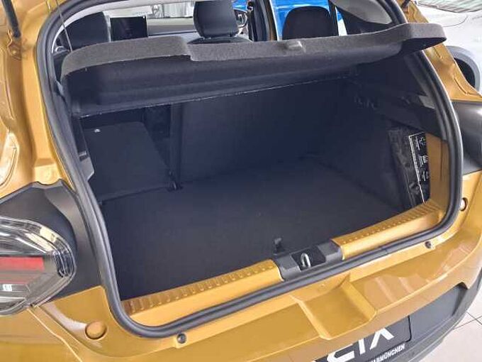 Dacia Sandero Stepway Extreme Tce110 Reisepa/Pano/WiPa/Driving