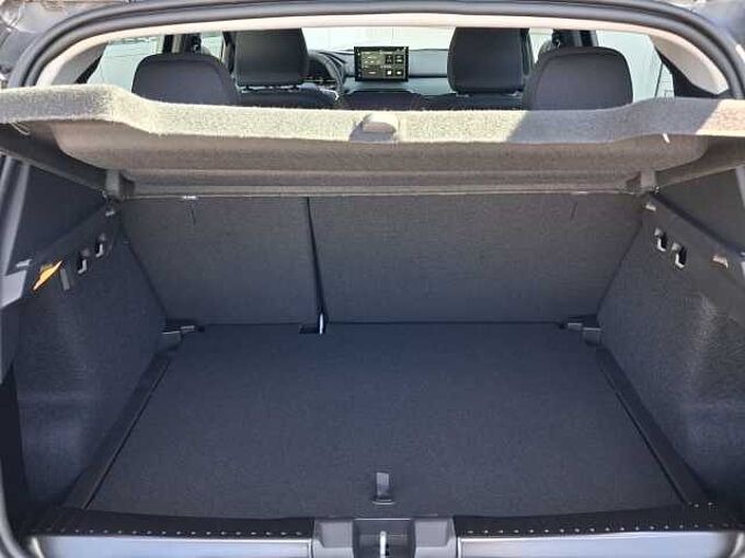 Dacia Sandero Stepway Extreme TCe110 WINTER/TECHNIK/DRIVING