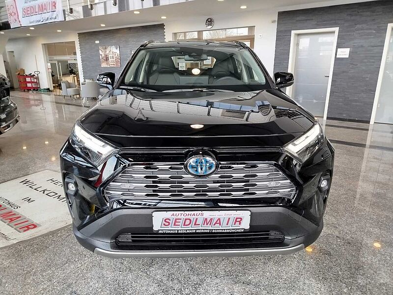 Toyota RAV4 2.5 Hybrid 4x4 Executive CAM/MEMORY/SHZ