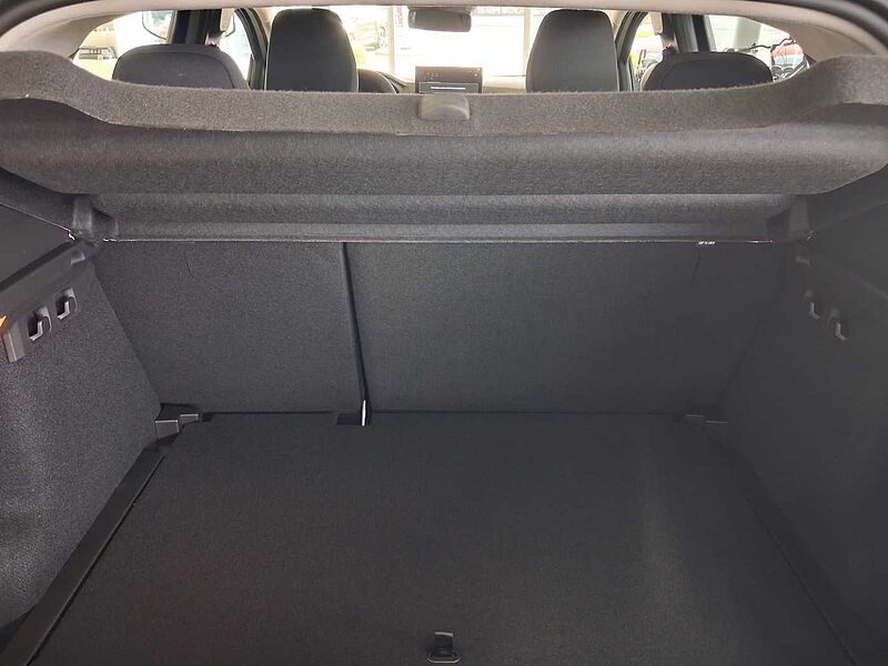 Dacia Sandero Stepway Extreme TCe 110 Winter-Technik-Drivingpaket