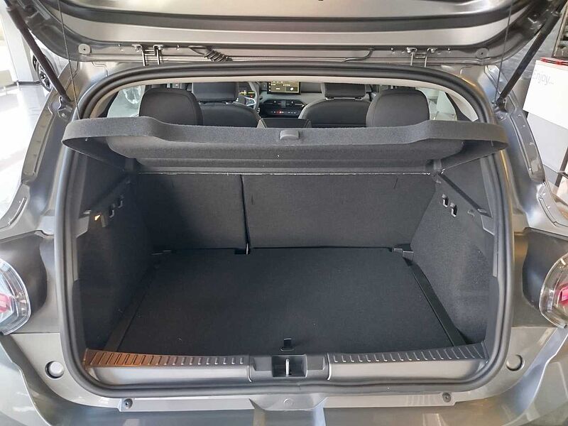 Dacia Sandero Stepway Extreme TCe 110 WINTERPAKET/KAMERA/PDC